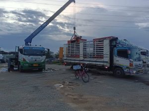 หน้าหลัก 17 481352016 1176670054080210 2966269636839367308 n