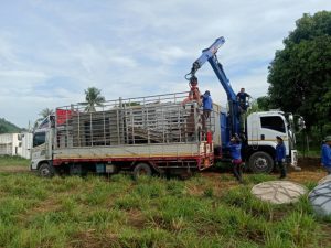 480680437 1169160111497871 1123348440579890926 n