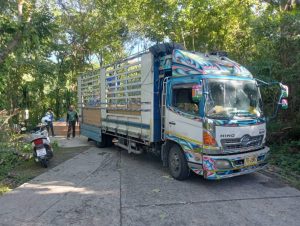 หน้าหลัก 33 56846 0