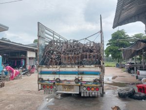 หน้าหลัก 16 914