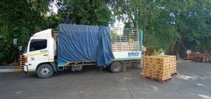 u3 101710031 314057089594249 330333830296542124 n