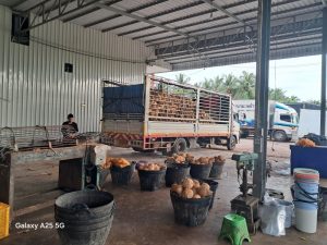 หน้าหลัก 31 u3 553063780 1359384189237209 3668401101613133302 n