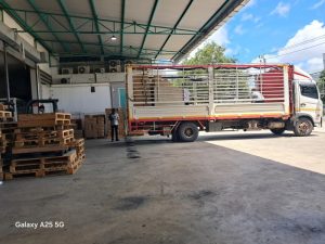 u3 557519477 1364698865372408 318773961208885883 n