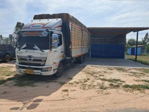 หน้าหลัก 31 586923546 1408639974311630 3906876363042205352 n