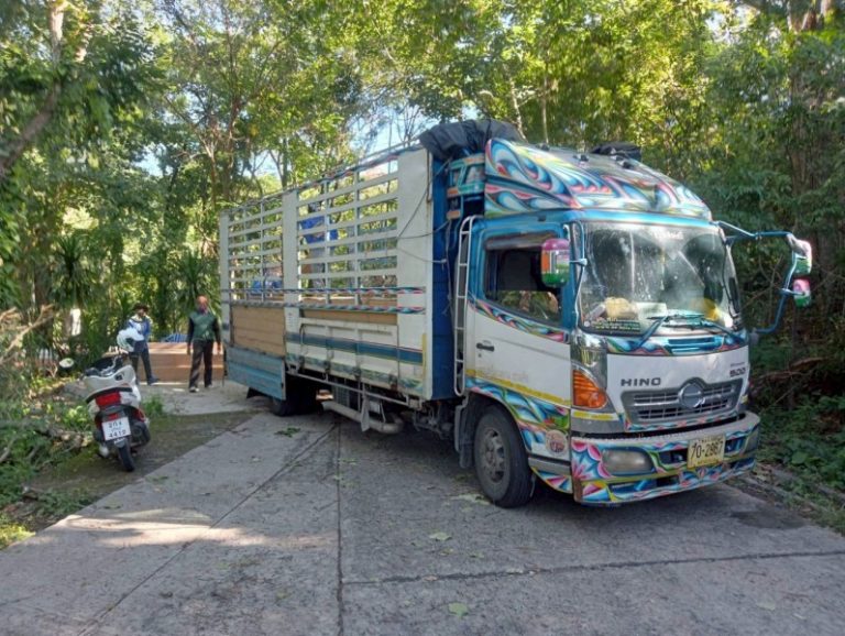 หน้าหลัก 12 LINE ALBUM รูปรถ 251024 20