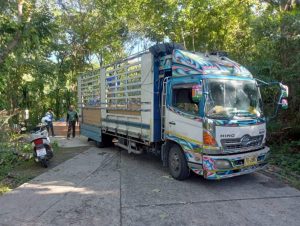 LINE ALBUM รูปรถ 251024 20